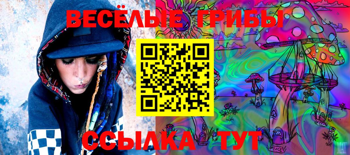 Галлюциногенные грибы Psilocybe  Псилоцибиновые грибы Psilocybe  Выкса  Вход с VPN 